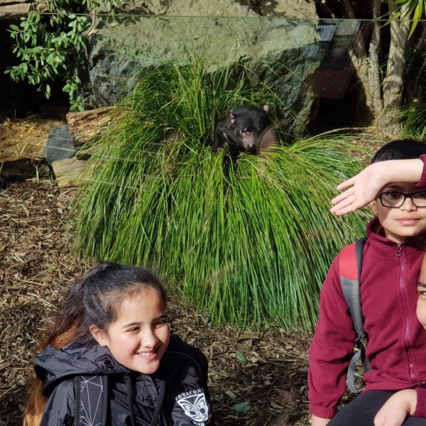 Kelston-Primary-Zoo-Trip-2019 (216).jpg