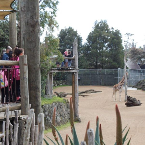 Kelston-Primary-Junior-Zoo-Trip-2021 (59).jpg