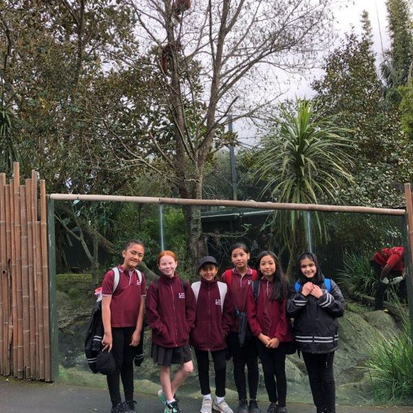 Kelston-Primary-Zoo-Trip-2019 (1).jpg