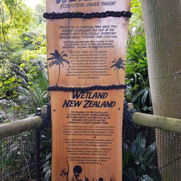 Kelston-Primary-Zoo-Trip-2019 (247).jpg