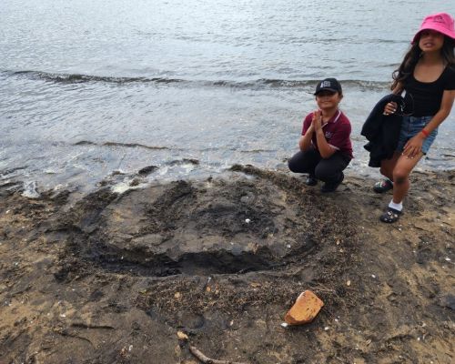 Kelston_Primary_Cornwallis_Trip_2026 (1).jpg