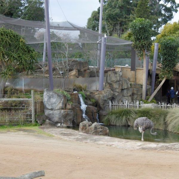 Kelston-Primary-Junior-Zoo-Trip-2021 (48).jpg