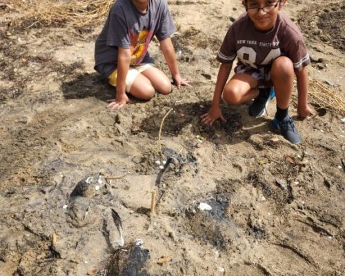 Kelston_Primary_Cornwallis_Trip_2026 (41).jpg