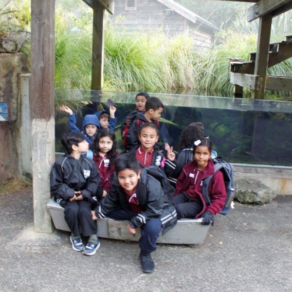 Kelston-Primary-Junior-Zoo-Trip-2021 (119).jpg