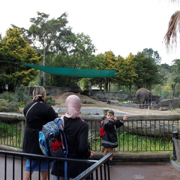 Kelston-Primary-Junior-Zoo-Trip-2021 (85).jpg