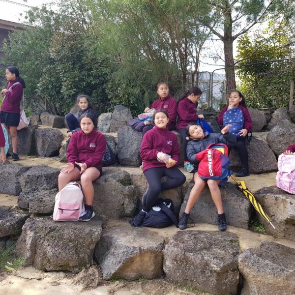 Kelston-Primary-Zoo-Trip-2019 (221).jpg