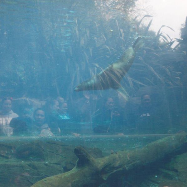 Kelston-Primary-Junior-Zoo-Trip-2021 (130).jpg