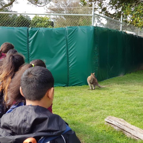 Kelston-Primary-Zoo-Trip-2019 (235).jpg