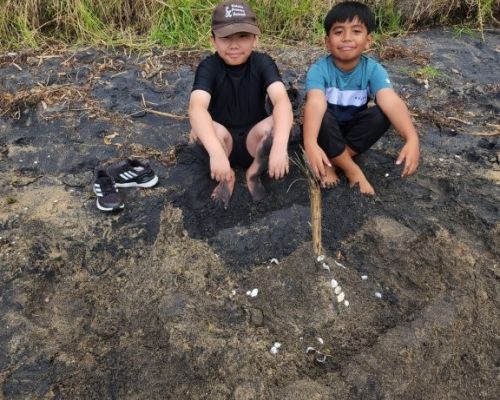 Kelston_Primary_Cornwallis_Trip_2026 (10).jpg